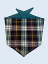 foulard Paris